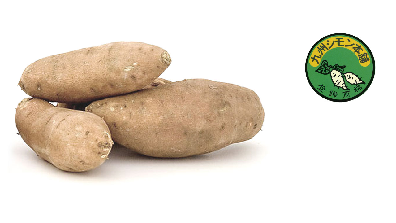 紹介イメージ画像１