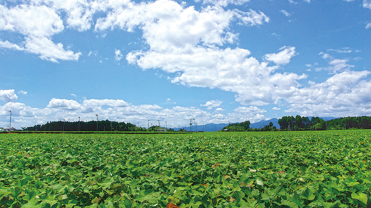 紹介イメージ画像２